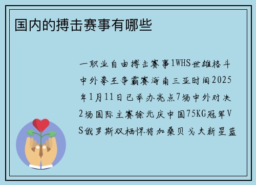 国内的搏击赛事有哪些
